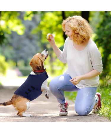 Gojiny Dog Anxiety Jacket - Calming Coat for Thunder & Stress Relief - Dark Grey XL | International Shipping Available - Buy Online on GoSupps.com