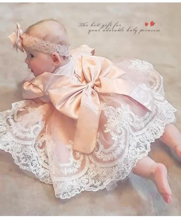 Baby Girls Lace Backless Tulle Princess Dress with Bowknot Headwear - Baby Pink (0-6 Months) - Buy Online on GoSupps.com