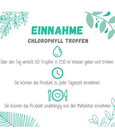 Premium Chlorophyll Drops 50ml - 200mg Alfalfa Extract | Vegan GMO-Free Laboratory Tested | High Dosage for Optimal Health - Buy Online on GoSupps.com