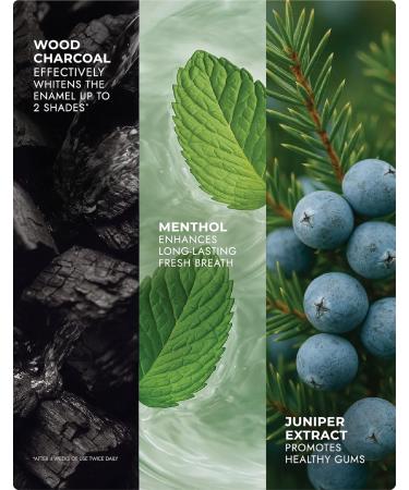  SPLAT SPLAT Blackwood Activated Charcoal Whitening Toothpaste | Suitable for Vegetarians SLES Free 75g - Buy Online on GoSupps.com