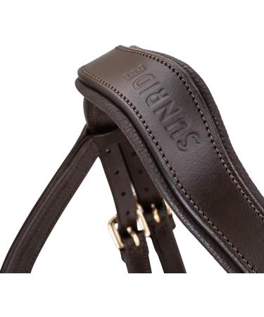Sunride English Combined Bridle Hawaii with Reins | Adjustable Soft Real Leather | COB Brown/Green - Premium Anatomical Design for Comfort - Buy Online on GoSupps.com