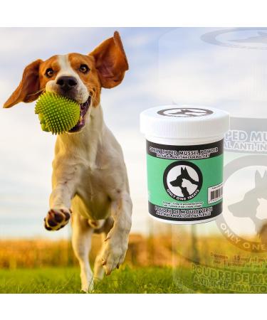 Only One Treats Green Lipped Mussel Powder Hip and Joint Supplement for Dogs and Cats Natural Pet Treats with Glucosamine to Improve Pet Mobility Cardiovascular and Immune Health (60g) 60 G - Buy Online on GoSupps.com