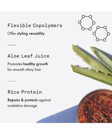 Fekkai Clean Stylers Volume Lock Hairspray - 7 oz | Extreme Hold & Flake-Free | Vegan & Cruelty-Free | EWG Compliant - Buy Online on GoSupps.com