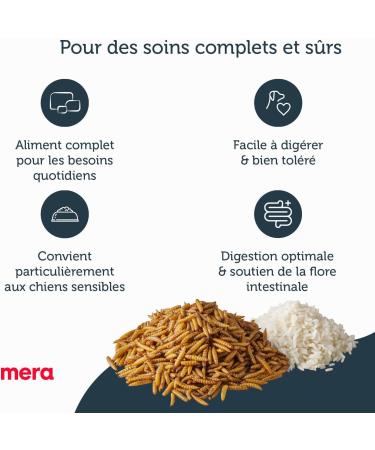 MERA Pure Sensitive Insect Protein Croquettes for Sensitive Dogs Hypoallergenic and Ecological Monoprotein Food - Buy Online on GoSupps.com