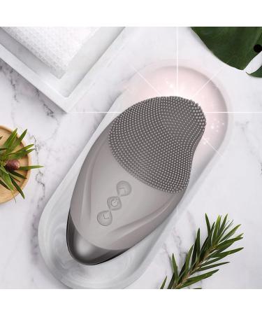 Face Cleansing Brush Soft Silicone Electric Exfoliator - Vibrating Waterproof Rechargeable Simple Skin Care Tools for Enhances Absorption of Facial Skin Care Products Gray (English) - Buy Online on GoSupps.com