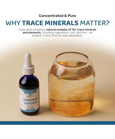  Ultra Lyte Ultra Lyte Fulvic Acid 250 mg Fulvic Acid Food Supplement Concentrated Fulvic Minerals Non-GMO and Gluten-Free Liquid Food Supplement for Digestive Support - Buy Online on GoSupps.com