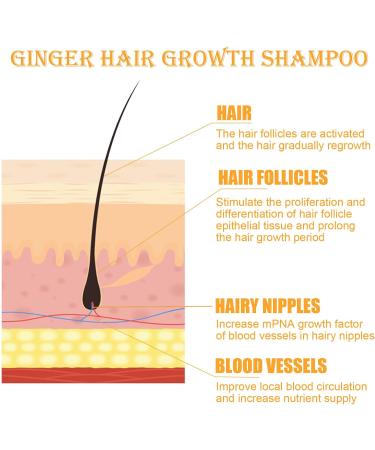 Ginger Hair Growth Shampoo - Natural Anti Hair Loss Treatment for Women & Men - Buy Online on GoSupps.com