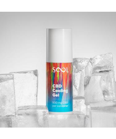 SOOL Gel Rafra chissant Au CBD 500mg 100ml | Pour Les Articulations Et Les Muscles | Application Facile I Cr me De Massage Au CBD Pour Les Pieds Les Genoux La Nuque Et Les paules Menthe - Buy Online on GoSupps.com