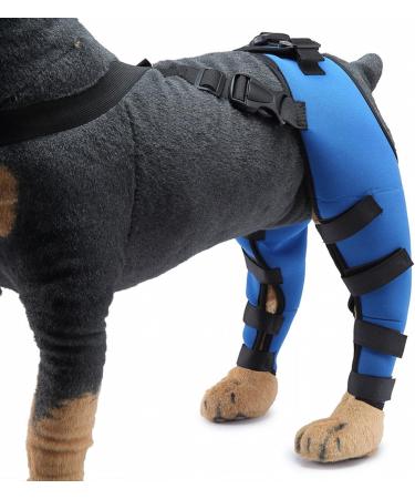 Dog Rear Hind Leg Joint Brace Pet Dog Double Hind Leg Brace Support Belt for Heals Prevents Injuries Sprains Protects Wounds. A Medium - Buy Online on GoSupps.com