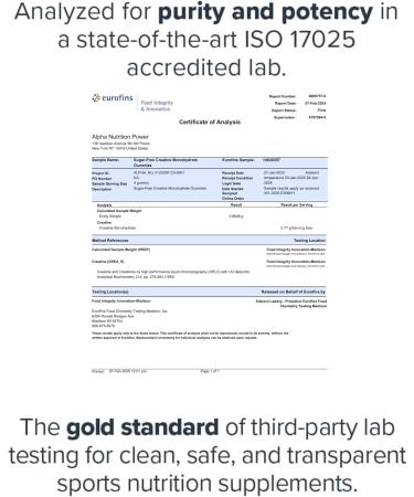 Creatine Monohydrate Gummies 5g Sugar Free Creatine Gummy for Workout for Men & Women Lean Muscle Support Strength Cognitive Health Gluten Free Non GMO NSF Certified Raspberry Lemonade 120 pc Sour Raspberry Lemonad  - Buy Online on GoSupps.com