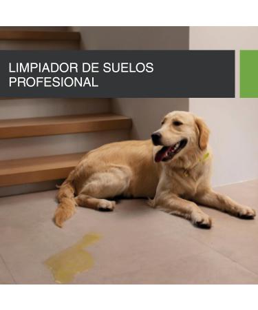 EcoFloor 1L Concentrate | Professional Enzyme Cleaner for Hard Floors | Effective Odor Remover & Pet Urine Solution | 1000 ml - Buy Online on GoSupps.com