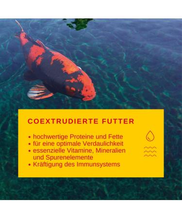 Sera Koi Professional KoiFutter 7 kg | Premium Koi Food for Summer | Reduces Water Pollution & Algae | International Shipping - Buy Online on GoSupps.com