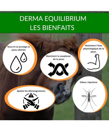 Derma Equilibrium - Natural Treatment for Dermatitis in Horses - With Plants Calendula Lavender Cade - Anti-itching (Derma Equilibrium 1000mL) - Buy Online on GoSupps.com