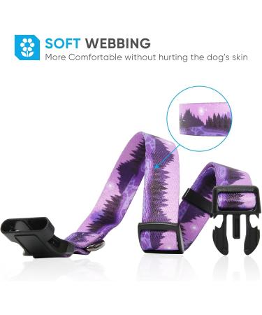 Shop Heele Purple Dog Collar for Small & Medium Dogs | Adjustable & Comfortable Patterned Collars for Puppies (XS: 21.6-28cm) - Buy Online on GoSupps.com