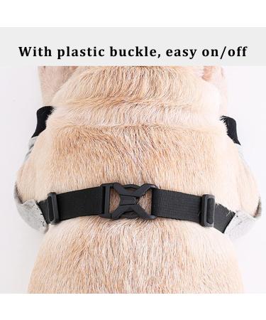 Dog Leg Brace Elbow Brace Protector Pads for Small Dogs and Cats Support Elbow Hygroma Shoulder Dysplasia Osteoarthritis and Shoulder Dislocation(L) Large - Buy Online on GoSupps.com