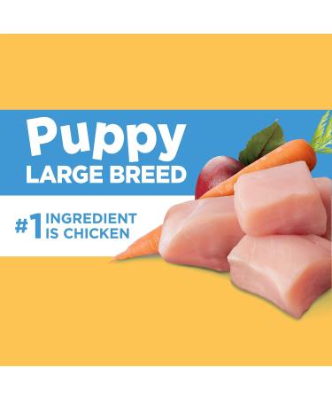 IAMS Adult Large Breed Dry Dog Food - Chicken and Whole Grains Recipe 6.80kg (15LB) Bag & Puppy Large Breed Dry Dog Food - Chicken and Whole Grains Recipe 6.80kg (15LB) Bag Dog Food + Dog Food 10171670 6.80 kg (Pack of 1) - Buy Online on GoSupps.com