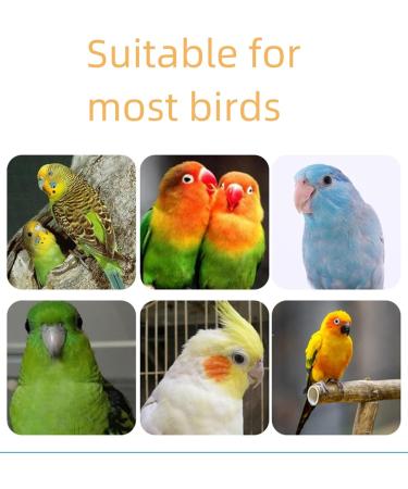 Buy Lohill Parrot Accessories - 4-Piece Bird Cage Toys and Perches for Parrots & Budgies - 15cm Ribbar Stood Bar - Buy Online on GoSupps.com