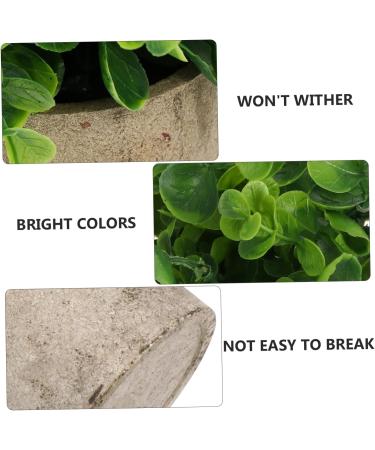 Zerodeko 4 Pcs Simulated Potted Plant Fake Green Plant Flowers Decoration Mini Succulent Plants Household Decor Fake Potted Plant Decor Desktop Ornament Cylinder Plastic Artificial Flower As Shownx4pcs 22x8cmx4pcs - Buy Online on GoSupps.com