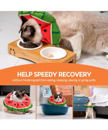 Avont Rewrise Adjustable Cat Collar - Soft Neck Leak Protection for Small Dogs & Cats Ideal After Surgery - Medium Watermelon - Buy Online on GoSupps.com