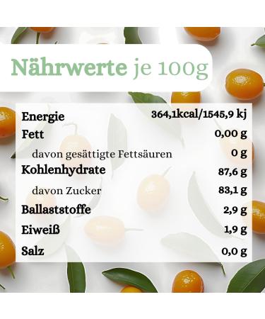  1001 Frucht 1001 Fruit Candied Kumquats 500 g I dried exotic dwarf orange I High quality dried fruits I Kumquat whole candied fruits I sweetened gluten-free without flavor exhaustion - Buy Online on GoSupps.com