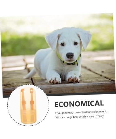 INOOMP 1 Set Pet Toothbrush Dog Toothbrush and Toothpaste Puppy Toothbrush Dog Handheld Toothbrush Single-head Brush Pet Oral Toothbrush Dog Brush Teeth Single-head Toothbrush Pet Brush - Buy Online on GoSupps.com