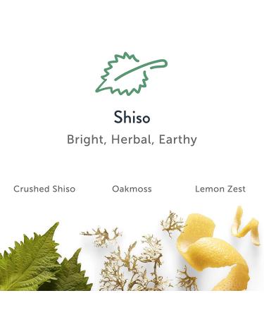 Harry's Men's Aluminum-Free Deodorant Variety Pack - 3 Count (Stone, Shiso, Redwood) - Odor Control - Buy Online on GoSupps.com