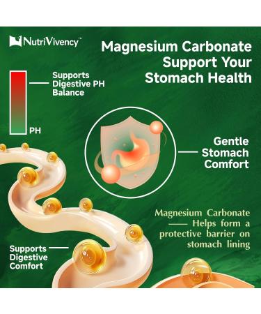 Magnesium Carbonate Gummies 500mg, Magnesium Carbonate Supplement with Calcium, Vitamin B6, D3, Zinc for Bone Health, Muscle & Nerve Support, Sugar Free, Vegan, Green Apple Flavor, 30 Servings - Buy Online on GoSupps.com