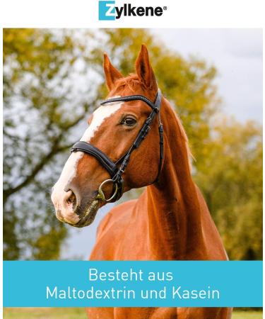 Vetoquinol Zylkene Equine | 20 x 4g | Dietary Supplement for Horses | May Help Reduce Undesirable Behavior of Horses in Unusual Situations - Buy Online on GoSupps.com