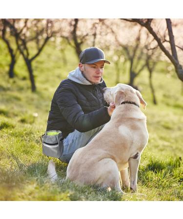 Buy Aocclant Dog Training Bag - Versatile Hip Belt for Treats Toys & Essentials | Easy Carry Gray - Buy Online on GoSupps.com