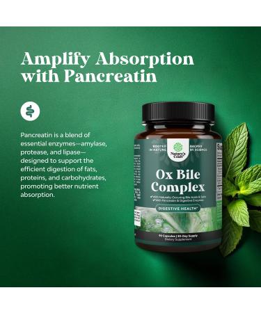 Digestive Enzymes with Ox Bile - Ox Bile Supplements for No Gallbladder with Trypsin Papain & Bromelain Enzyme for Pancrease Cleanse & Detox - Pancreatin Digestion Enzymes for Women & Men - 90 Ct 90 Count (Pack of 1) - Buy Online on GoSupps.com