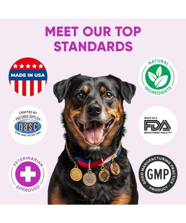 Allergy Chews - Turmeric Root & Pumpkin Powder - Vet Formulated in The USA - Skin Health Support - Buy Online on GoSupps.com