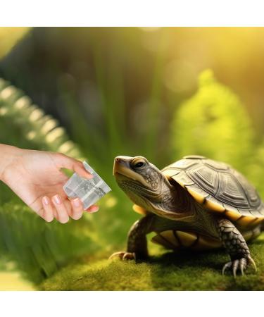 JNAWA Reptile Food and Water Containers Reptile Feeding Plastic Cups Gecko Feeder Ledge Bowl for Gecko Lizard and Other Small Pet (20ml) (40) - Buy Online on GoSupps.com