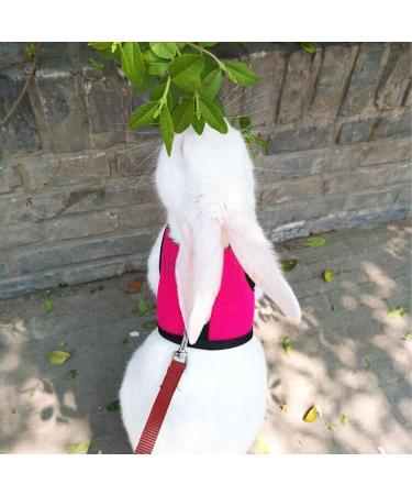 CHIPKART Small Pet Harness No Pulling Comfort Vest Guinea Pig Harness and Leash Set for Ferret Rats Bunny Hamster(L) - Buy Online on GoSupps.com