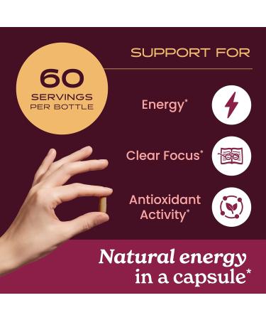 Herb Pharm Guayusa Capsules: USDA Organic Nootropic Brain Supplements for Focus Herbal Nootropic & Energy Support| 60 Vegan Capsules 30 Day Supply* - Buy Online on GoSupps.com