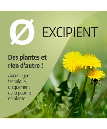 Dandelion Root 270 mg - 200 Capsules - Ecocert Certified - Buy Online on GoSupps.com