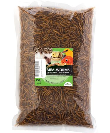 UGF - Premium mealworms dried 250g insects snacks for birds hamsters hedgehogs rodents lizards turtles - without preservatives and dyes - Buy Online on GoSupps.com