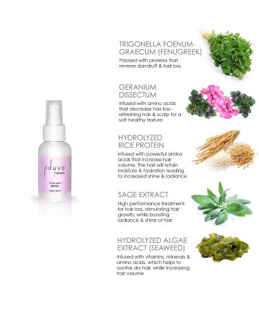 Nuuvo Haircare Va Va Voom Wet Texture Spray for Hair - 2oz Lightweight Volumizing Root Boost or Bouncy Beachy Wave Hair Salon-Quality Salt & Alcohol Free UV Protection Use on All Hair Types 2 Fl Oz (Pack of 1) - Buy Online on GoSupps.com