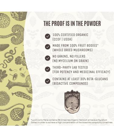 Hamilton s Lucid Lion s Mane | Organic Mushroom Extract Powder for Synapse Repair Nerve Growth Factor Focus Memory and Concentration | High Potency | 30% Beta Glucans | GF Non-GMO Vegan (100g) 3.53 Ounce (Pack of 1) - Buy Online on GoSupps.com