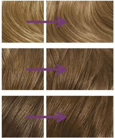 Clairol Nice'n Easy No Ammonia Hair Dye 91 Dark Blonde 3 Count Pack - Ammonia-Free Hair Color - Buy Online on GoSupps.com