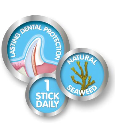 Beaphar Dental Sticks for Small Dogs 1 count (Pack of 1) Small Dogs - Buy Online on GoSupps.com