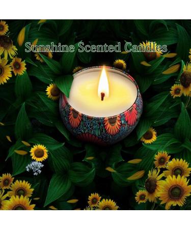 Shop Premium Scented Candles for Living Room & Bedroom | Ideal for Parties - Genericng24uw7m0o - Buy Online on GoSupps.com