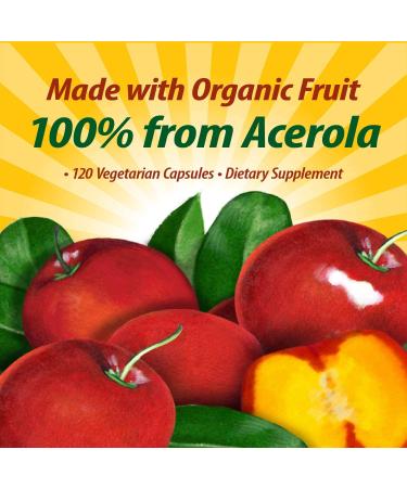 Nature's Way Alive! Fruit Source Vitamin C - 120 Vegetarian Capsules for Immune Support - Buy Online on GoSupps.com