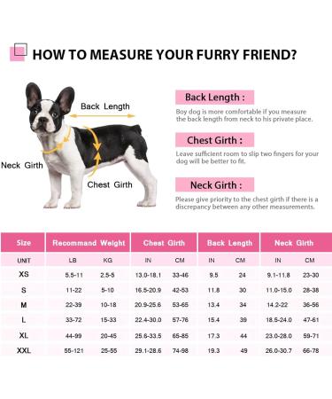 Cit toile Dog Life Jacket - Safe & Light Water Sports Vest for Small/Medium/Large Dogs - Pink with Handle & Reflective Features - Buy Online on GoSupps.com