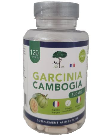 Just'Natur-Garcinia Cambogia 500 mg Fat Burner Hunger Suppressing Natural Ingredients High Quality Made in Europe 120 Capsules for a 4-Month Treatment