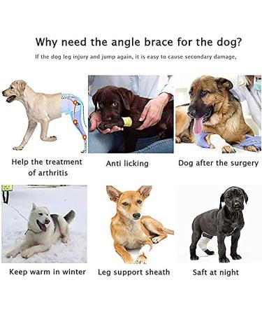VEraiz Black Dog Knee Support Pet Knee Injury Postoperative Recovery Aids Pet Brace Heals and Prevent Injuries for Loss of Stability from Arthritis (Back Left S) Back Left S - Buy Online on GoSupps.com