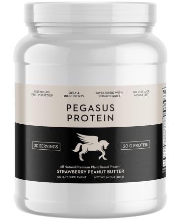 Premium Protein Powder Strawberry Peanut Butter - All Natural Complete Protein Powder (20g of Plant-Based Protein) - Only 4 Ingredients & No Stevia or Monk Fruit 20 Servings