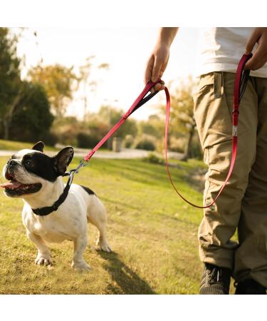 Vivaglory Traffic Handle Dog Leash - Reflective Padded Metal Hook 1.5m Red - Ideal for Training & Control - Buy Online on GoSupps.com
