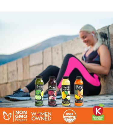 O2 Living Juice Cold Pressed Drink - 1-Day Organic Juice Cleanse Pack - No Added Sugars or Water Natural Sweetness from Fruits Rich in Nutrients & Vitamins - Refreshing & Non-GMO - 8 Pack 12 fl oz Juice Cleanse 12 Fl Oz  - Buy Online on GoSupps.com