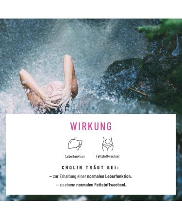 Buy Mary Distulum Artichoke Dandelion Capsules - 200mg Liver Complex with 80% Silymarin | Supports Liver Function | 120 Capsules - International Shipping Available - Buy Online on GoSupps.com