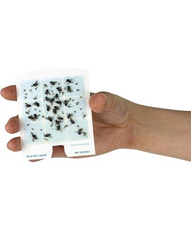 DynaTrap 23005-06 DOT StickyTech Glue Cards - Cloud (Pack of 6) - Buy Online on GoSupps.com